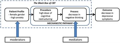 On the Road to Personalized Psychotherapy: A Research Agenda Based on Cognitive Behavior Therapy for Depression